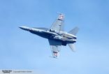 J-5010 - McDonnell Douglas F/A-18 Hornet