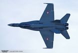 J-5010 - McDonnell Douglas F/A-18 Hornet