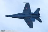 J-5016 - McDonnell Douglas F/A-18 Hornet