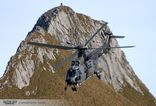 T-342 - Eurocopter AS-532UL (TH.98) Cougar - Solo Display