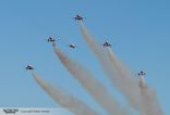 Patrouille Suisse - 6x Northrop F5-E Tiger II
