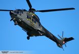 T-312 - Aerospatiale AS-332M-1 (TH.89) Super Puma - Swiss Air Force