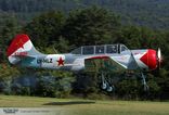 LY-HLZ - Yakovlev Yak-52