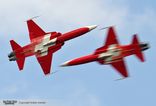 Patrouille Suisse (J-3081 / J-3082 / J-3087 / J-3088 / J-3090 / J-3091)