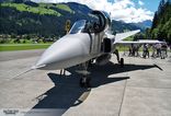 9820 - Saab JAS-39D Grippen