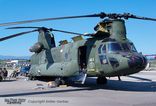 D-662 - Boeing-Vertol CH-47D Chinook - Pays-Bas