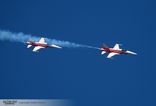 Patrouille Suisse - 6x Northrop F-5E Tiger II